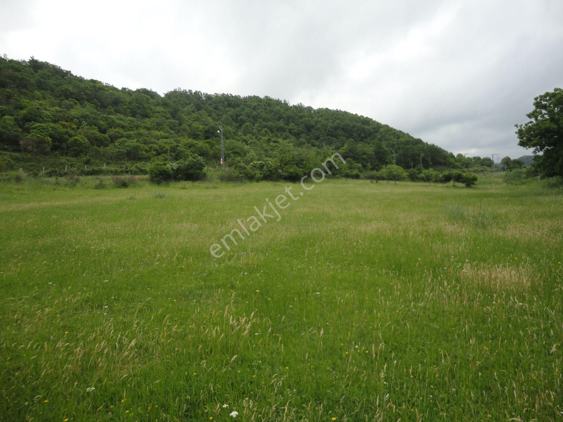 Beykoz Kabakoz Plajı'nda 9242m2 Yola Cephe Emsalsiz Satılık Arsa - Görsel 13