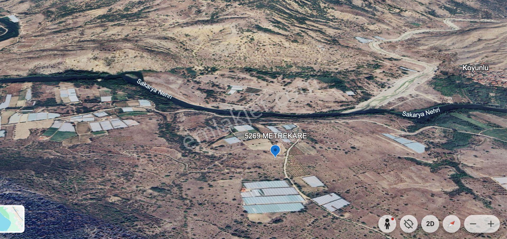 Hisar' Dan Kadastro Yoluna Cepheli Fırsat Tarla - Görsel 6