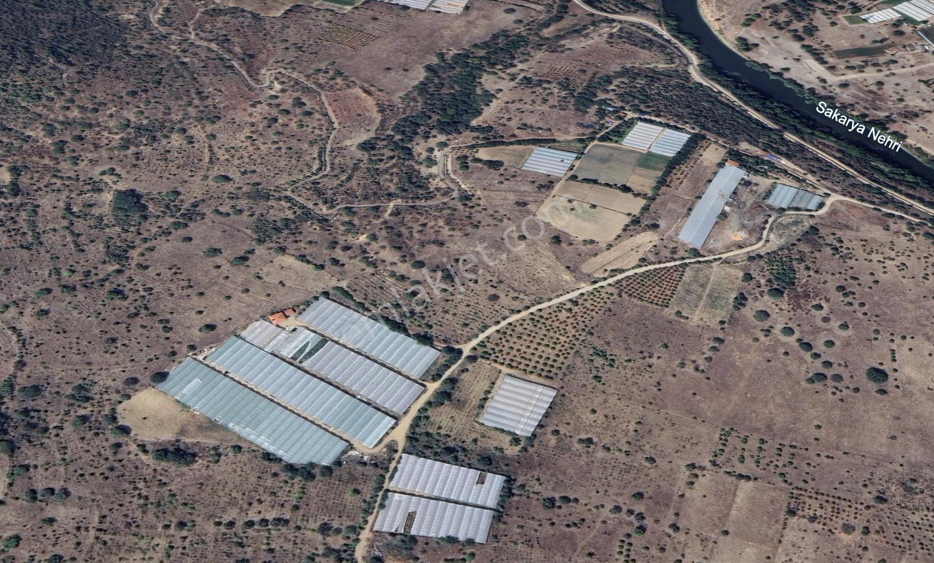 Hisar' Dan Kadastro Yoluna Cepheli Fırsat Tarla - Görsel 4