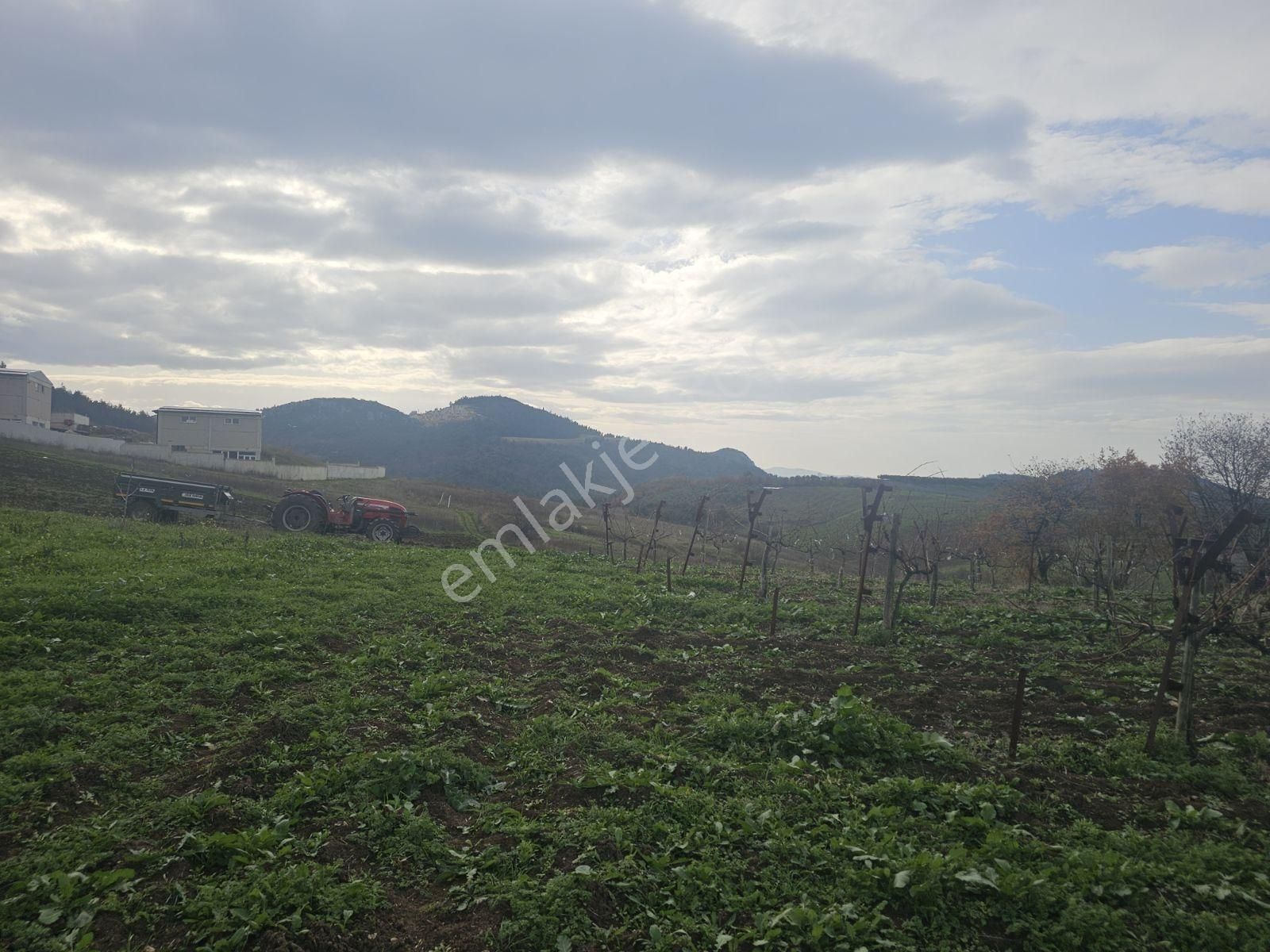 Seçköyde Yatırımlık Kupon Arazi Kayalarda(dip Fiyat) - Görsel 4