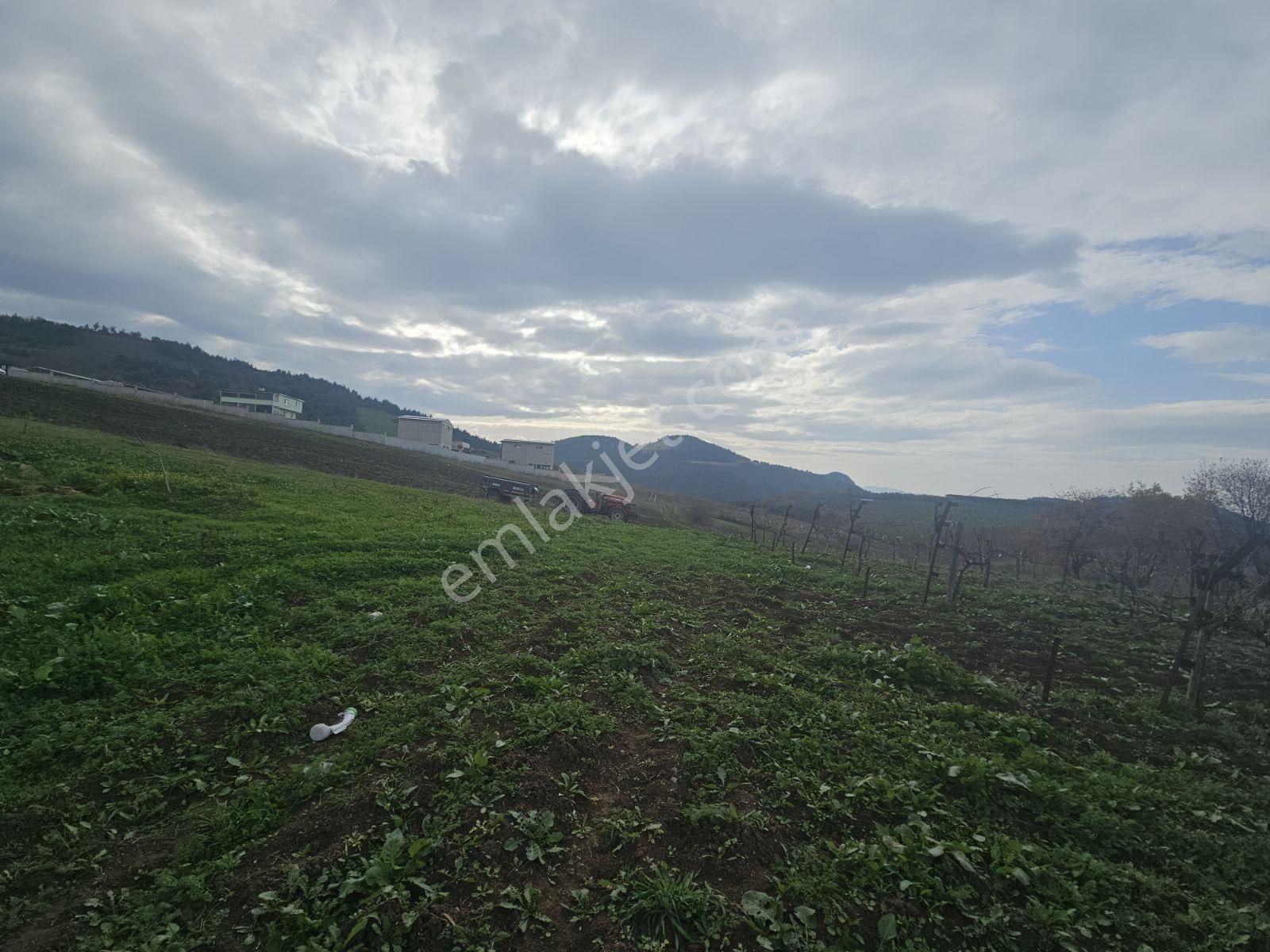 Seçköyde Yatırımlık Kupon Arazi Kayalarda(dip Fiyat) - Görsel 7
