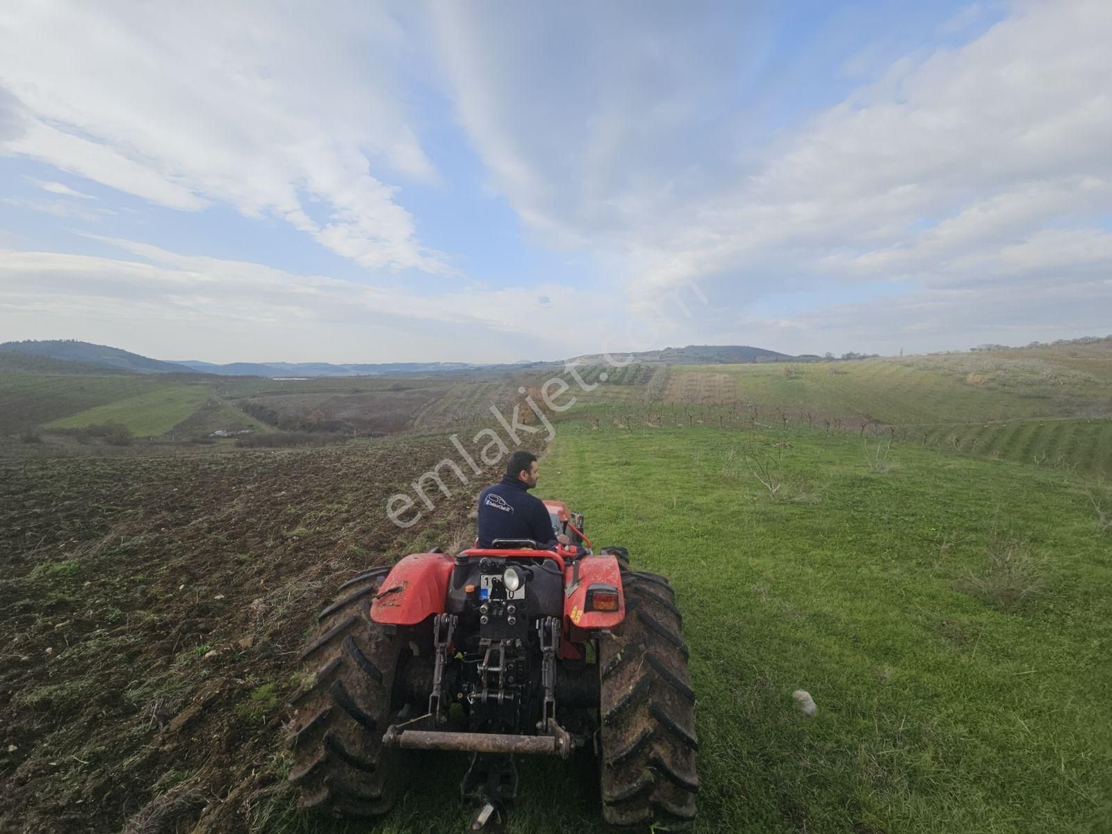 Seçköyde Yatırımlık Kupon Arazi Kayalarda(dip Fiyat) - Görsel 12