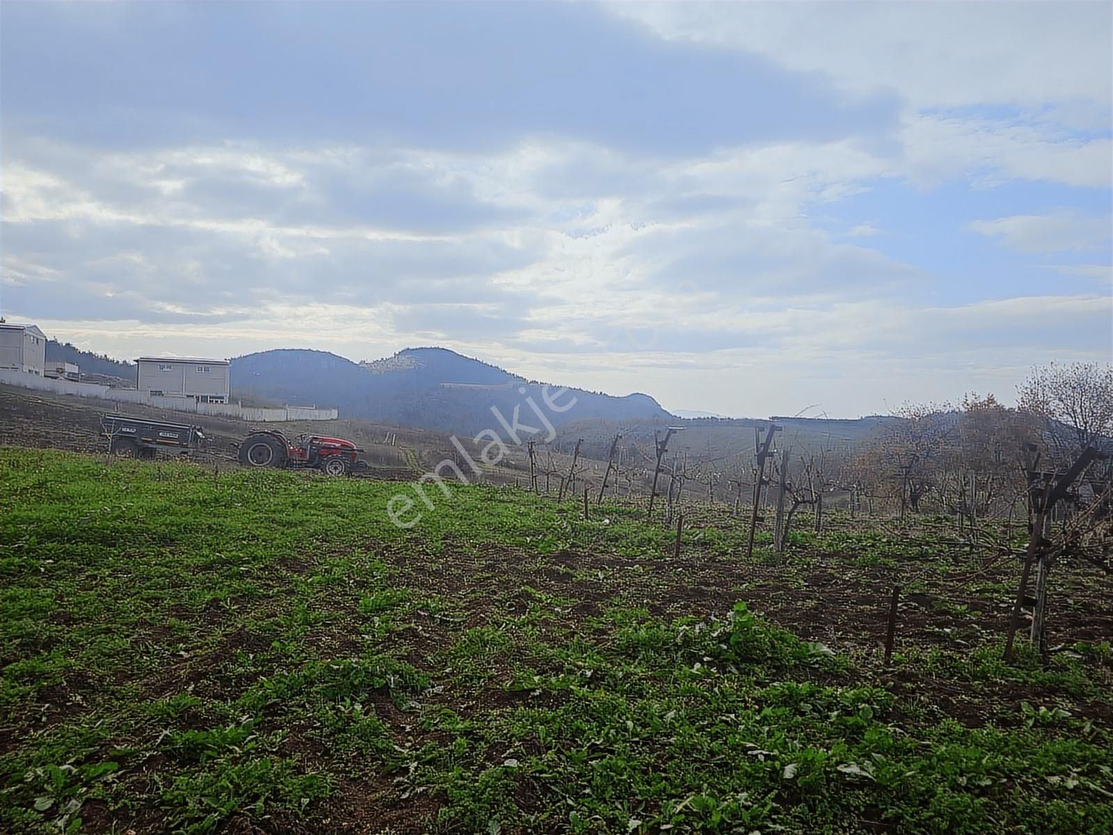 Seçköyde Yatırımlık Kupon Arazi Kayalarda(dip Fiyat) - Görsel 2