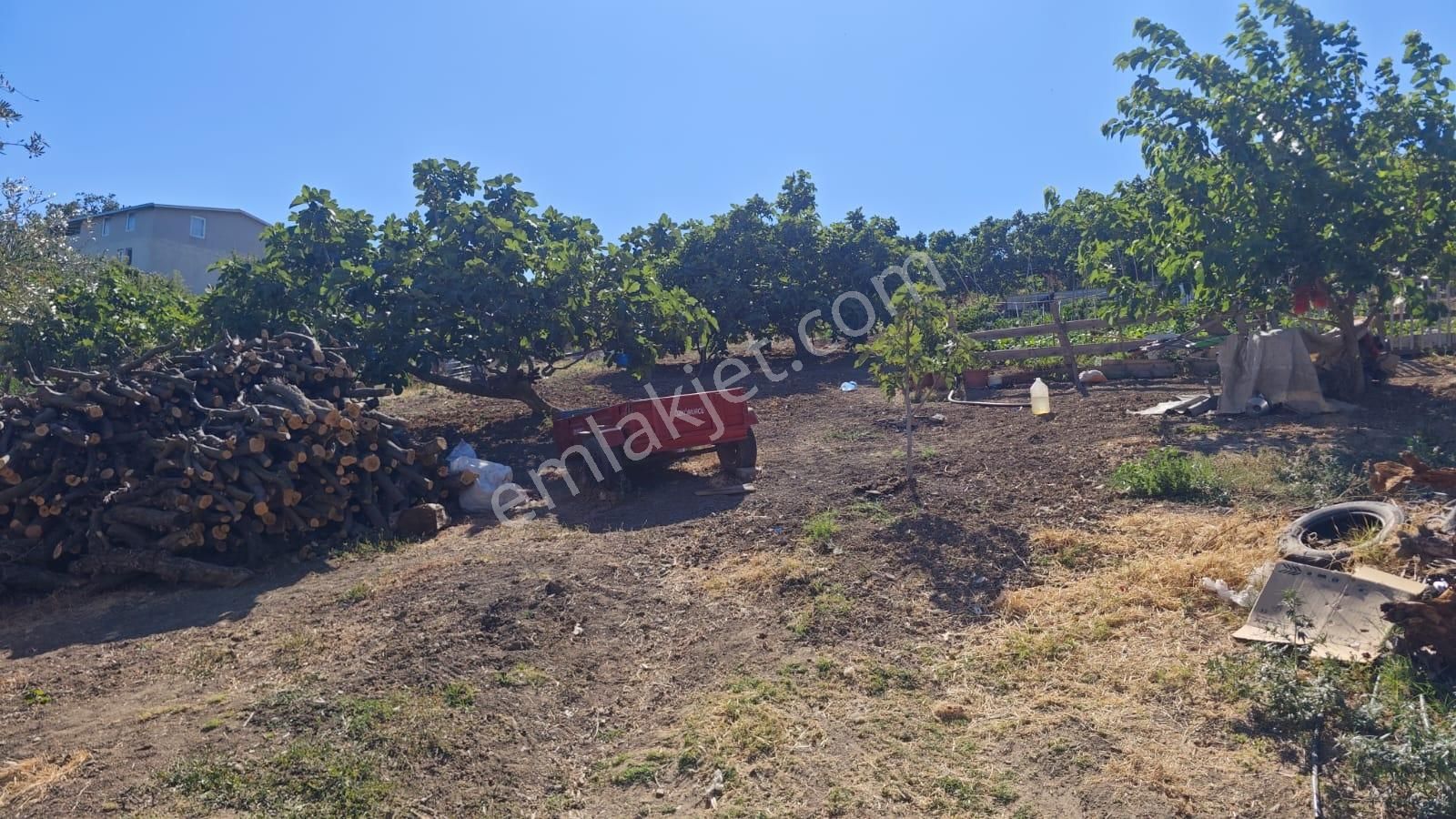 Gündoğdu'da Deniz Ve Bursa Manzaralı Çok Acil Satılık Arsa - Görsel 8