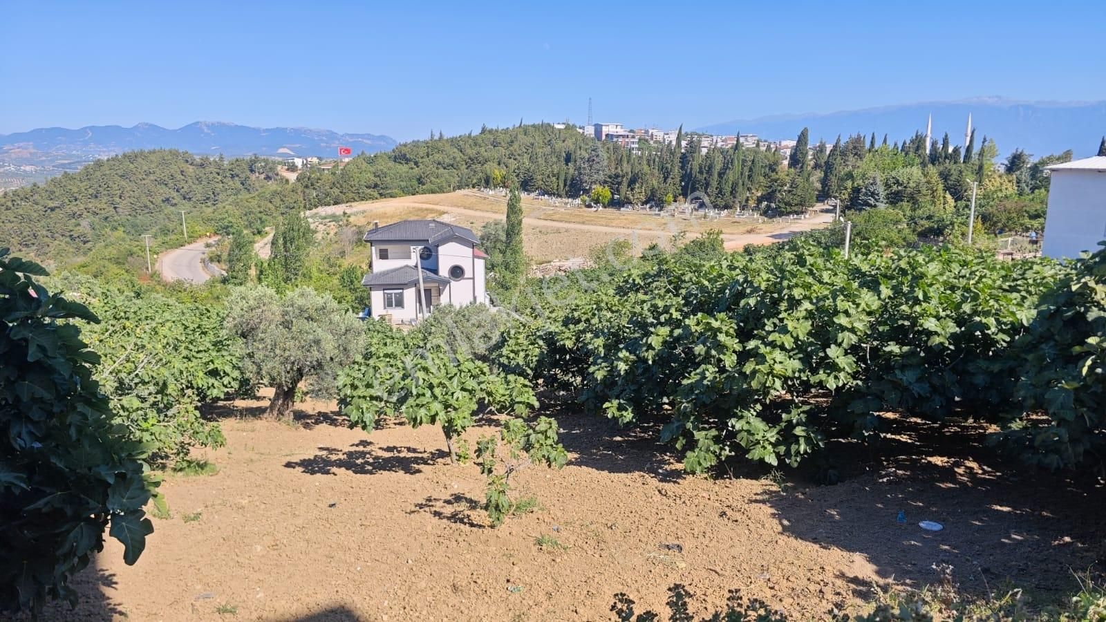 Gündoğdu'da Deniz Ve Bursa Manzaralı Çok Acil Satılık Arsa - Görsel 14