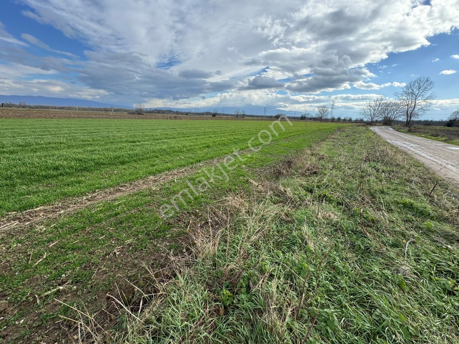 Solaklarda 2 Parsel Yol Kenarı Mükemmel Konumda 8.242 M2 Tarla - Görsel 12