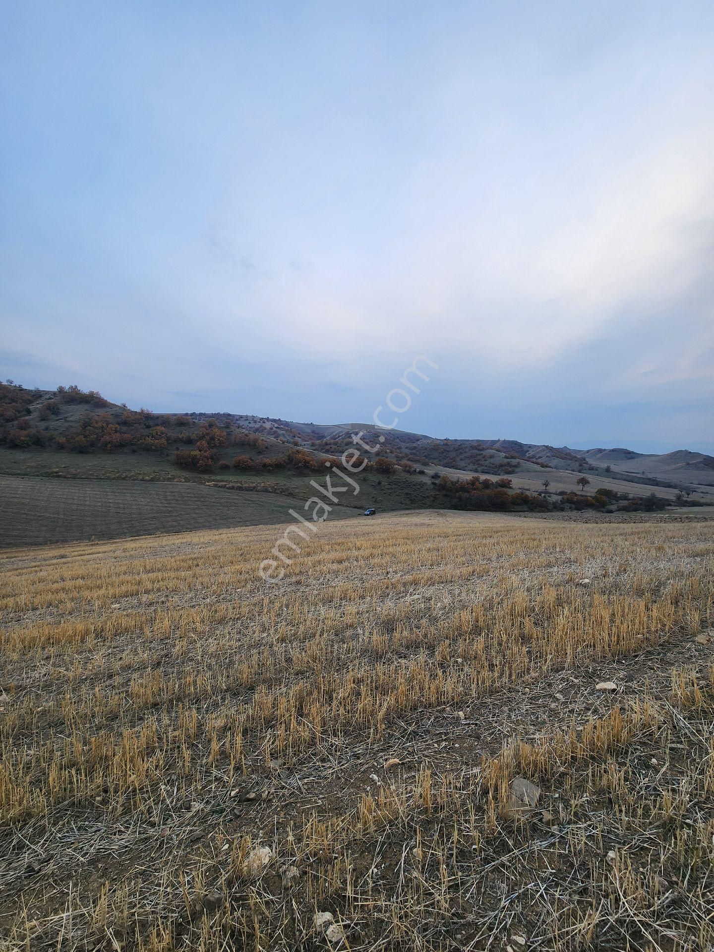 Satılık Tarla 9.879m2 Amasya Suluova Akören Köyü - Görsel 15