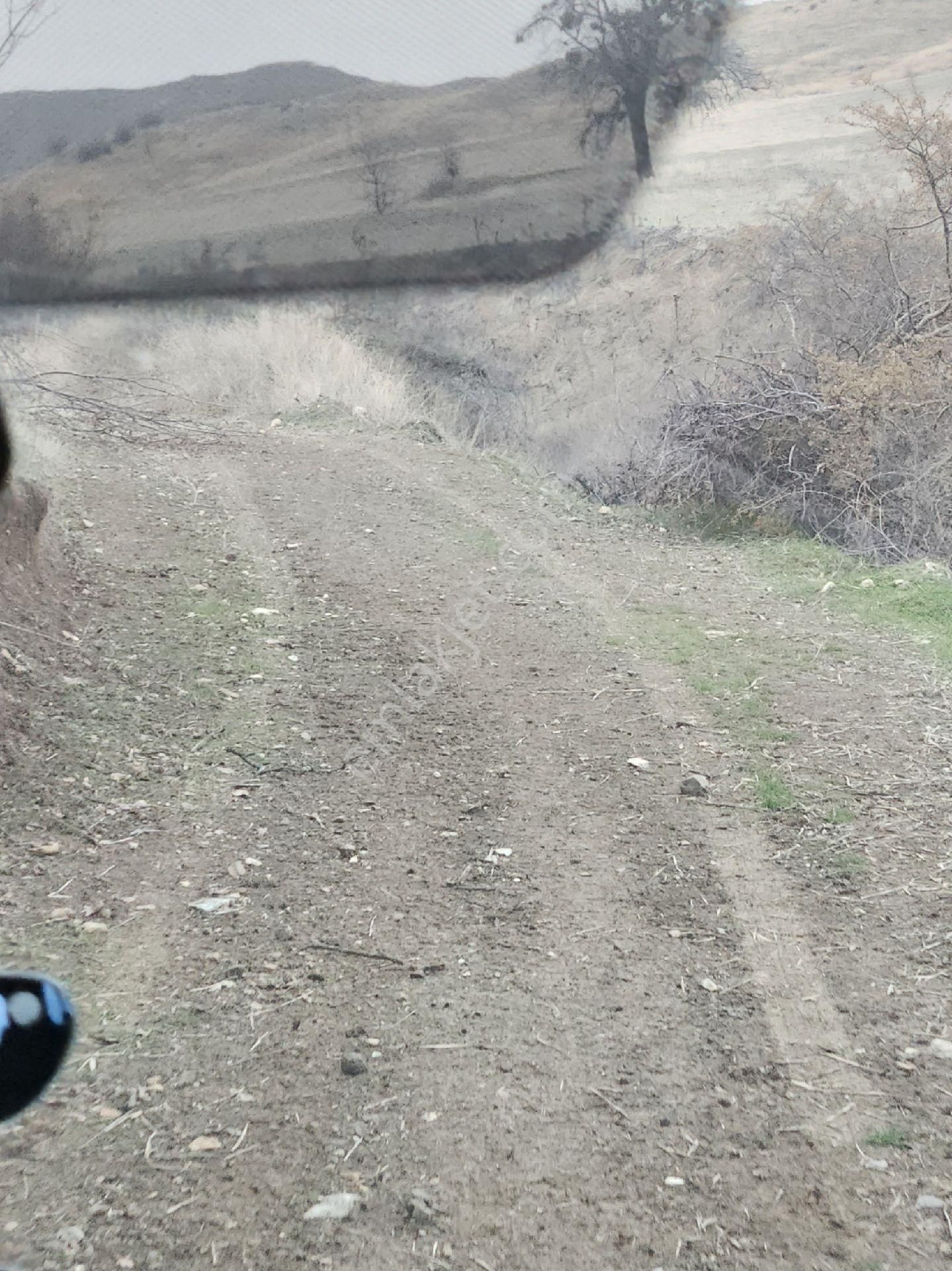 Satılık Tarla 9.879m2 Amasya Suluova Akören Köyü - Görsel 6