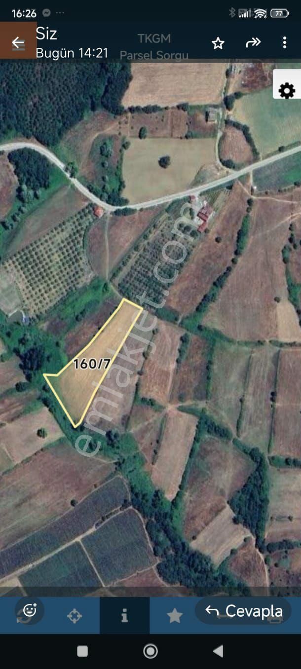 Yenicedesatılıktarla - Görsel 6