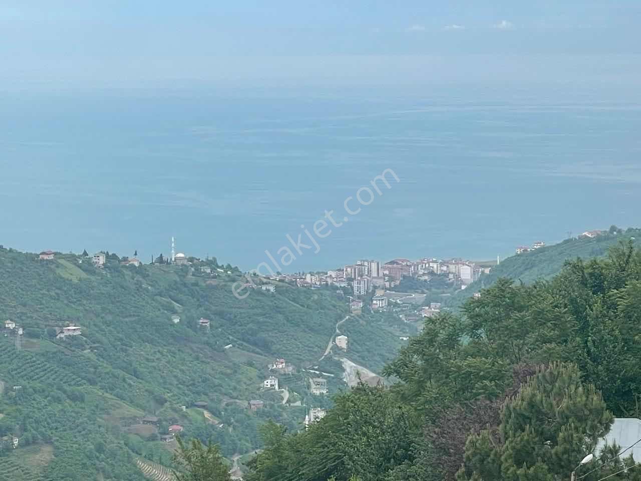 Akçaabat'ta Deniz Ve Doğa Manzaralı 70 Dönüm Dev Arsa - Görsel 7