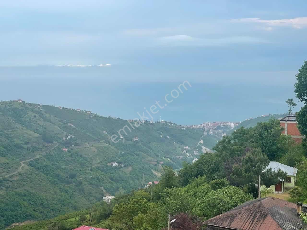 Akçaabat'ta Deniz Ve Doğa Manzaralı 70 Dönüm Dev Arsa - Görsel 3