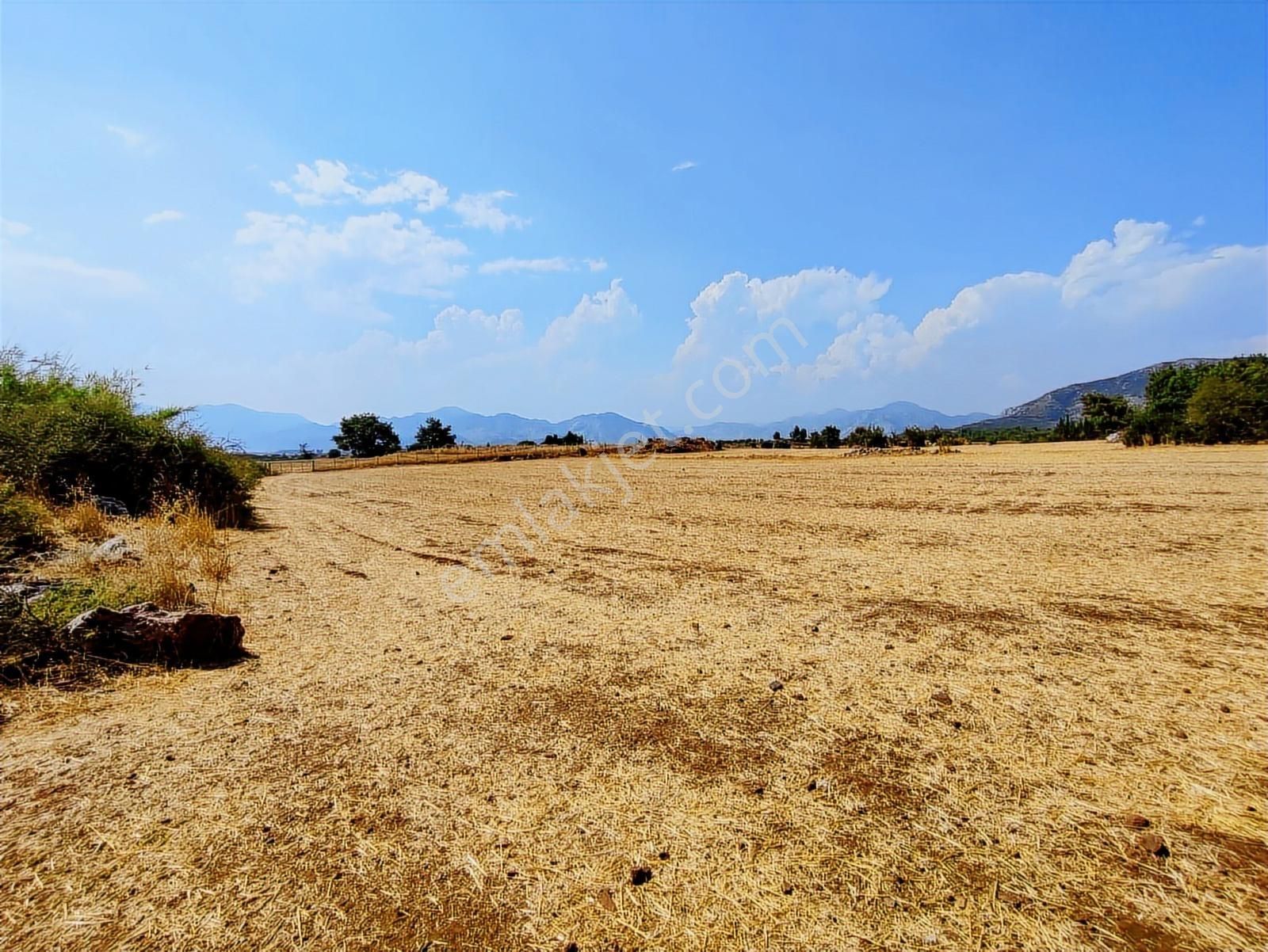 Ekşili'de Köy İçi Ormana Cephe 6631 M2 Satılık Tarla