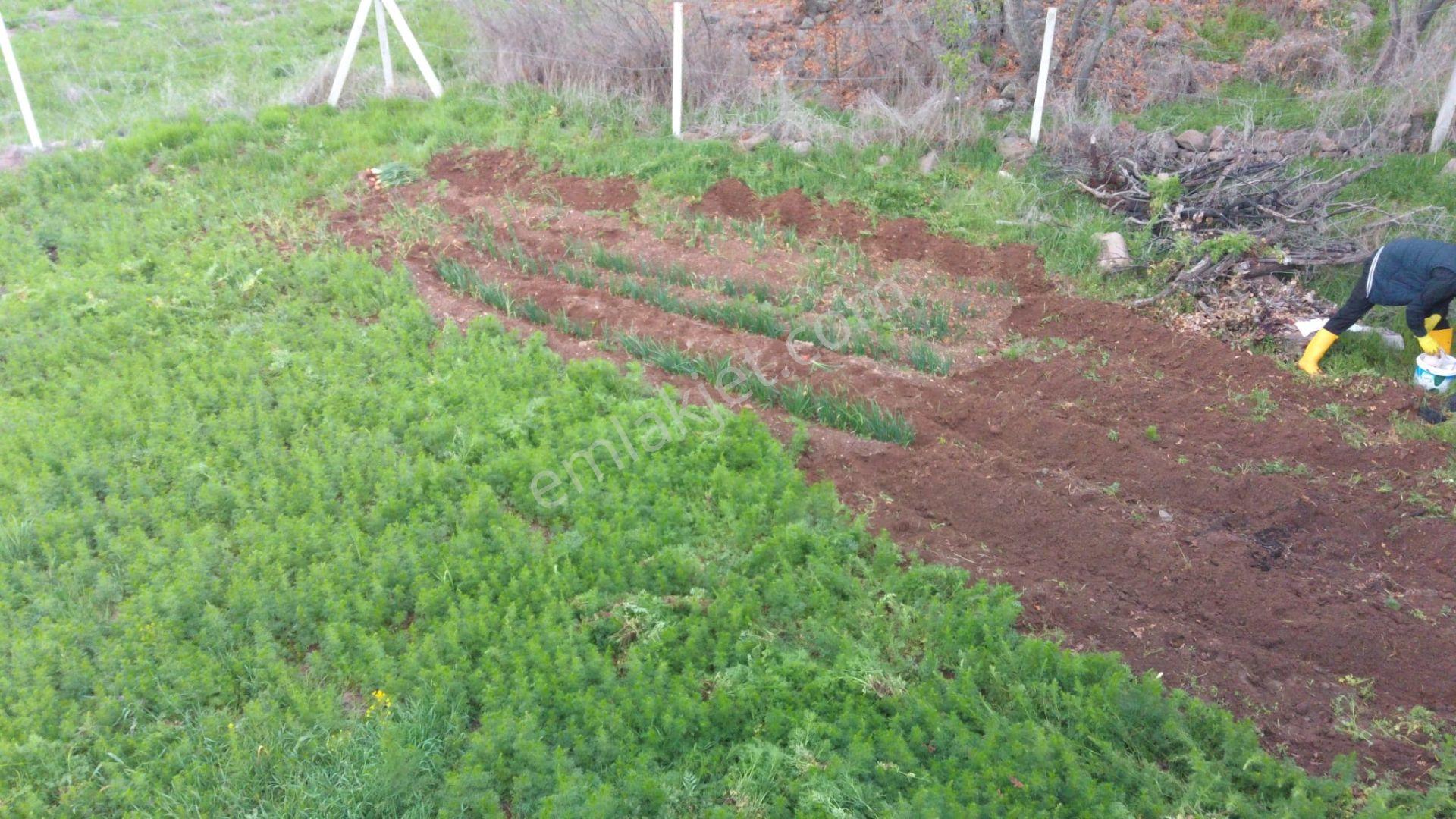 Ayaş-yağmurdede Mahallesinde Tek Tapu Köyiçi 3732 M2 - Görsel 2