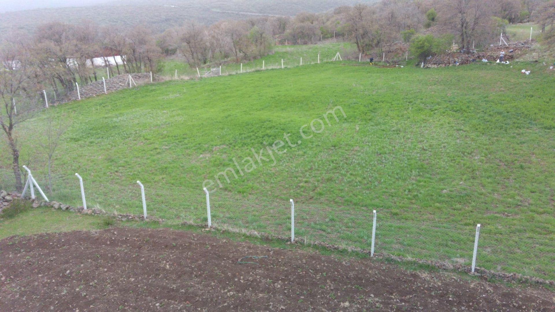 Ayaş-yağmurdede Mahallesinde Tek Tapu Köyiçi 3732 M2 - Görsel 5