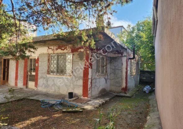 Satılık Müstakil Ev Amasya Suluova Cumhuriyet Mah - Görsel 3