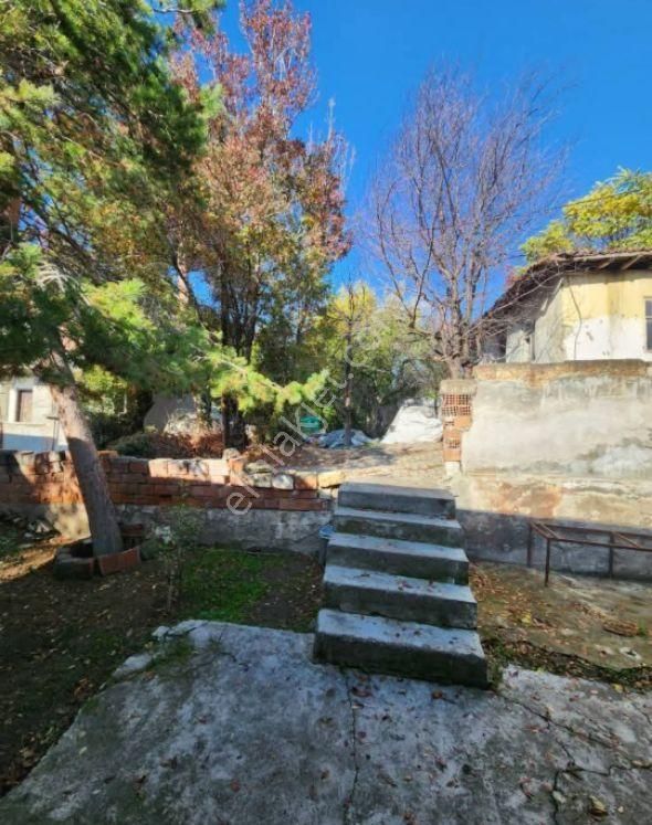 Satılık Müstakil Ev Amasya Suluova Cumhuriyet Mah - Görsel 10