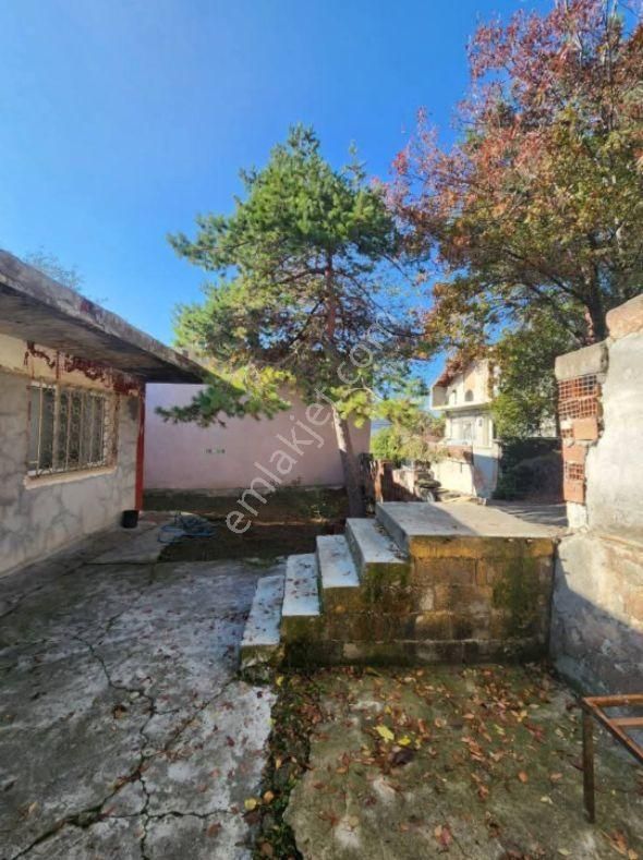 Satılık Müstakil Ev Amasya Suluova Cumhuriyet Mah - Görsel 4