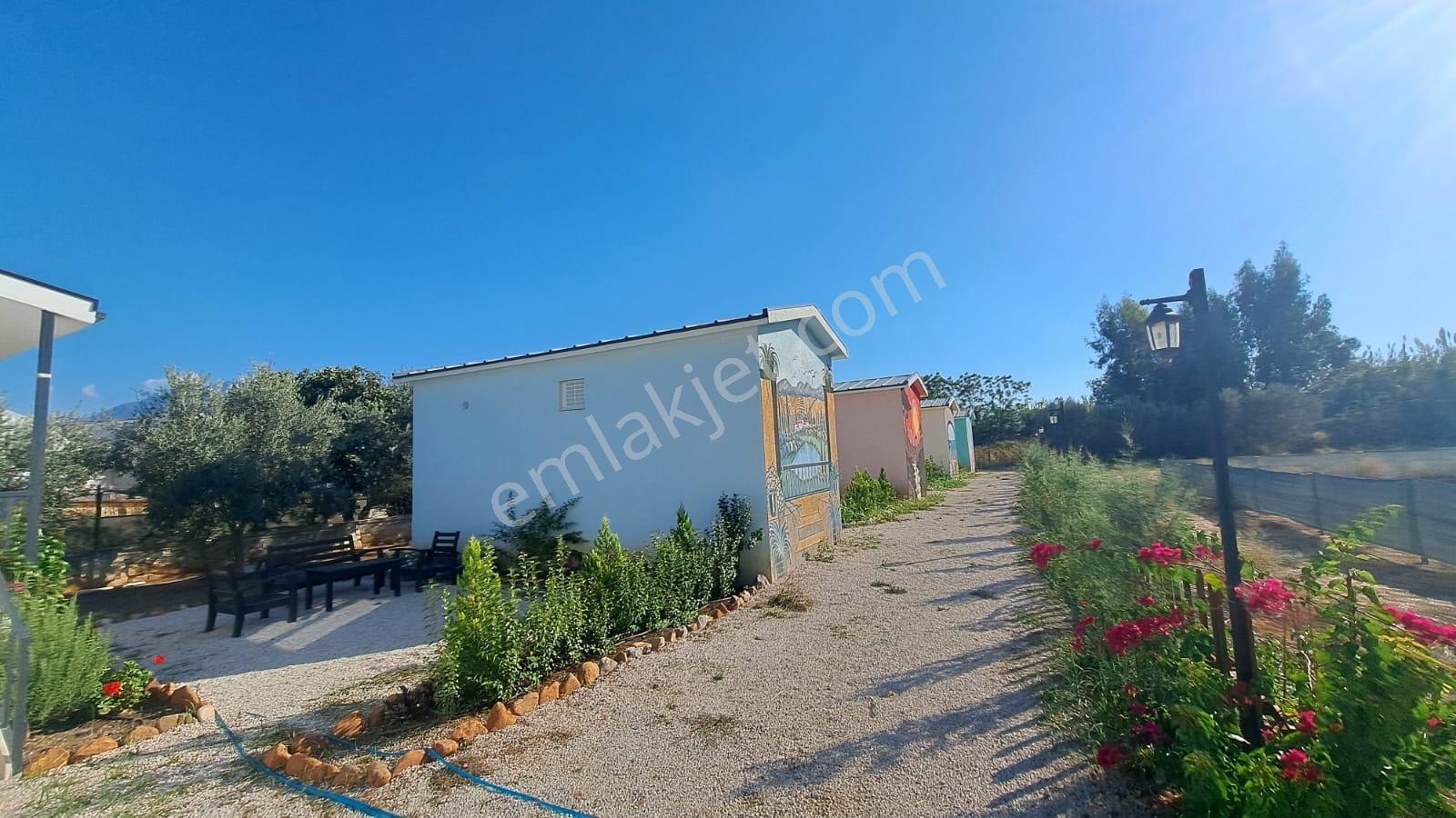 Foçada 1 Adet 1+1 Bungalov Eşyalı Kiralık Elektrik Su Ücretsiz - Görsel 24