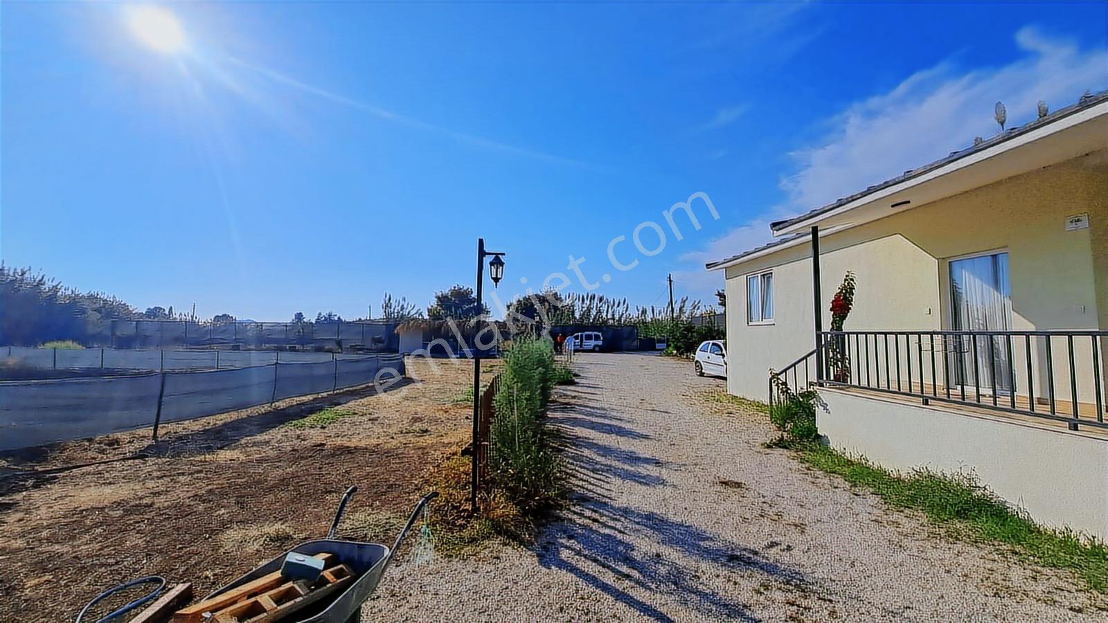 Foçada 1 Adet 1+1 Bungalov Eşyalı Kiralık Elektrik Su Ücretsiz - Görsel 20