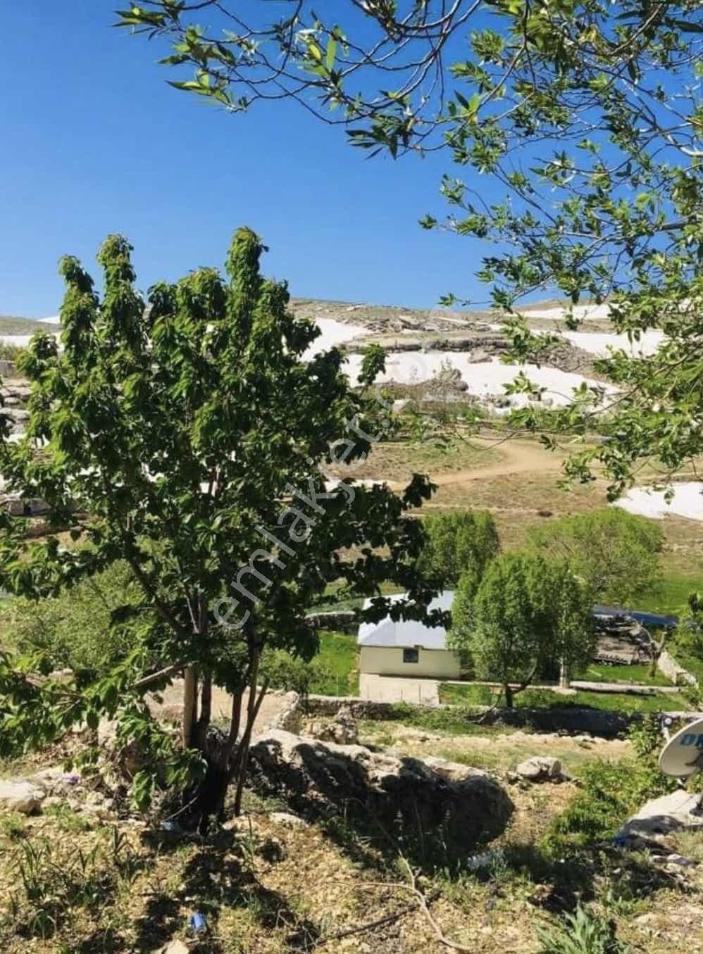 Seydikemer Çobanlar'da 682m2 Satılık Tarla - Görsel 3