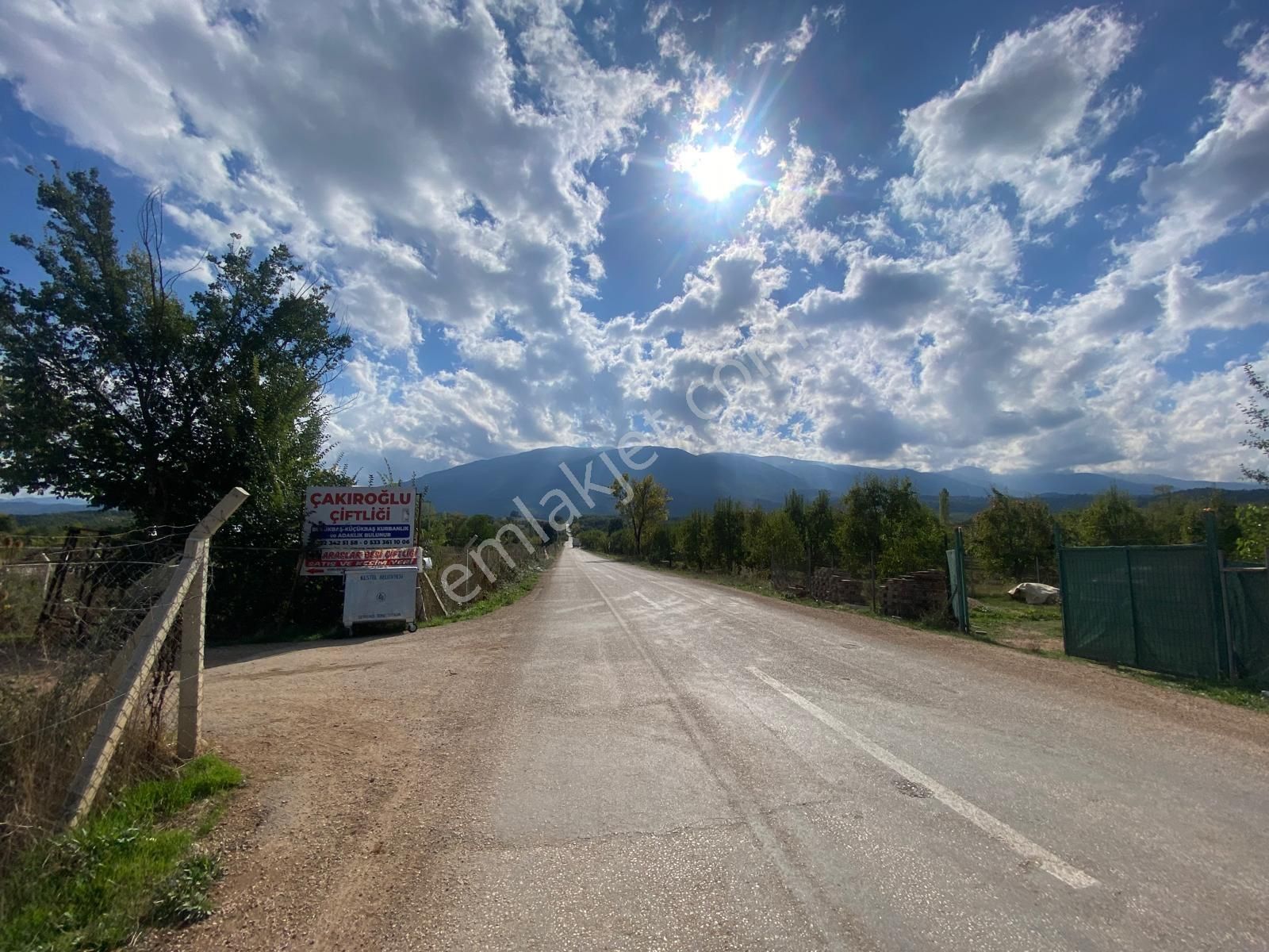 Remax Leon Kestel Kozluören'de 13.000 M2 Satılık Armut Tarlası - Görsel 3