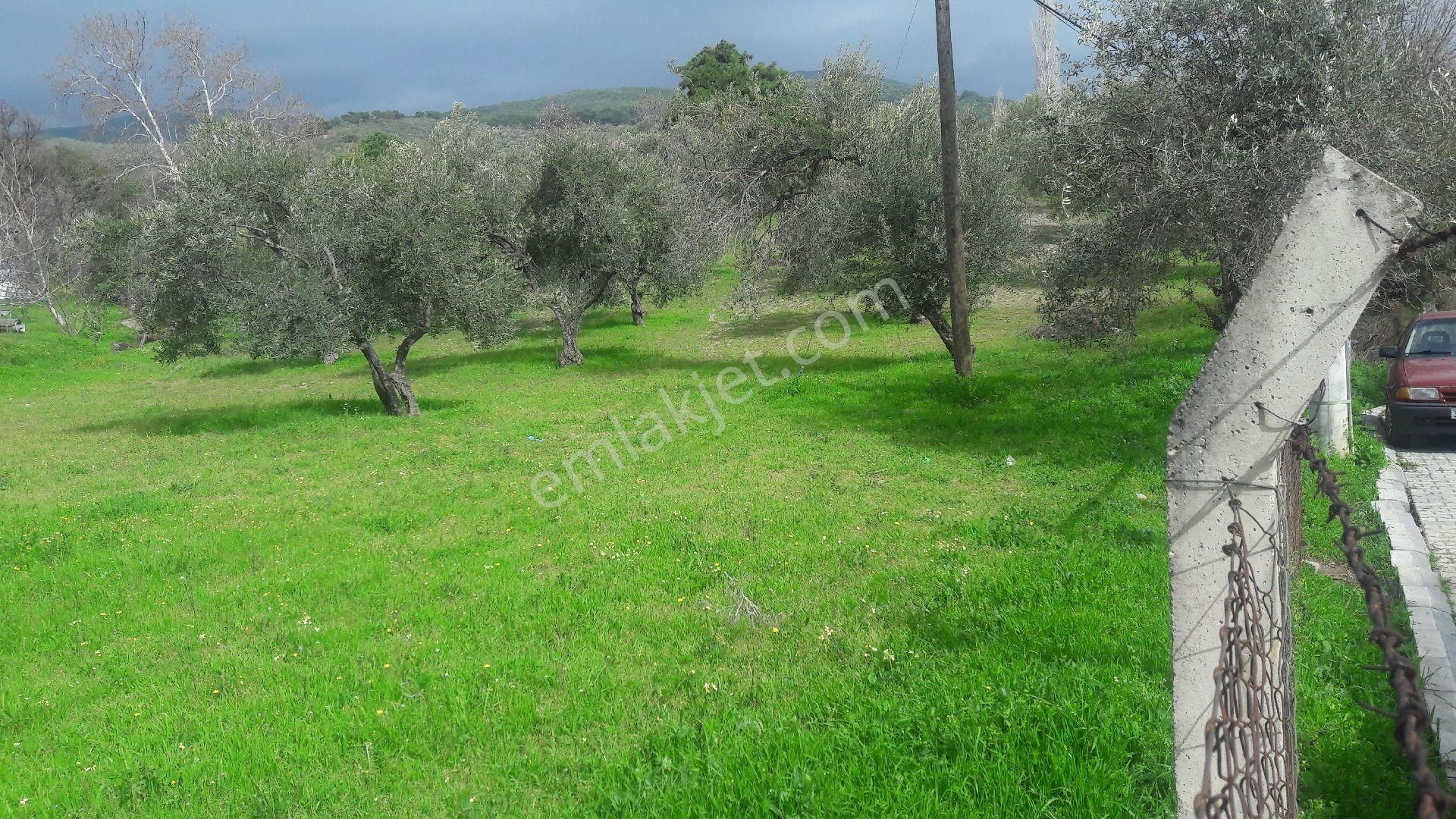 Sakarya//hendek Beyköy Mah.düz Taban Tarla 4.400m2