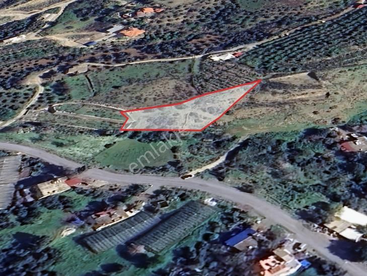 Koru'da Güney Bakı Az Eğimli Arazi - Görsel 3
