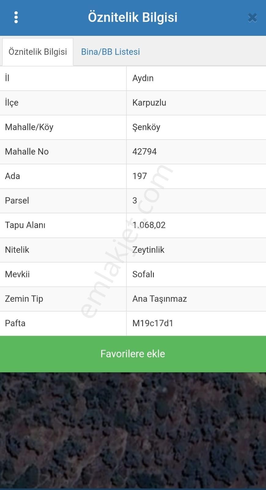 Aydın Karpuzlu Şenköy'de Yola Cepheli Zeytinlik - Görsel 2