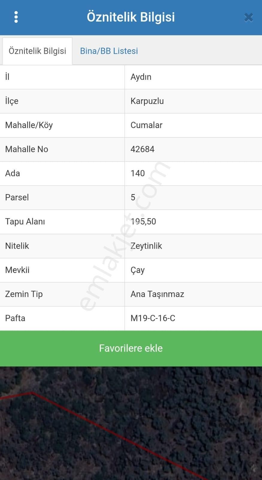 Aydın Karpuzlu Cumalar'da Satılık Zeytinlik - Görsel 2
