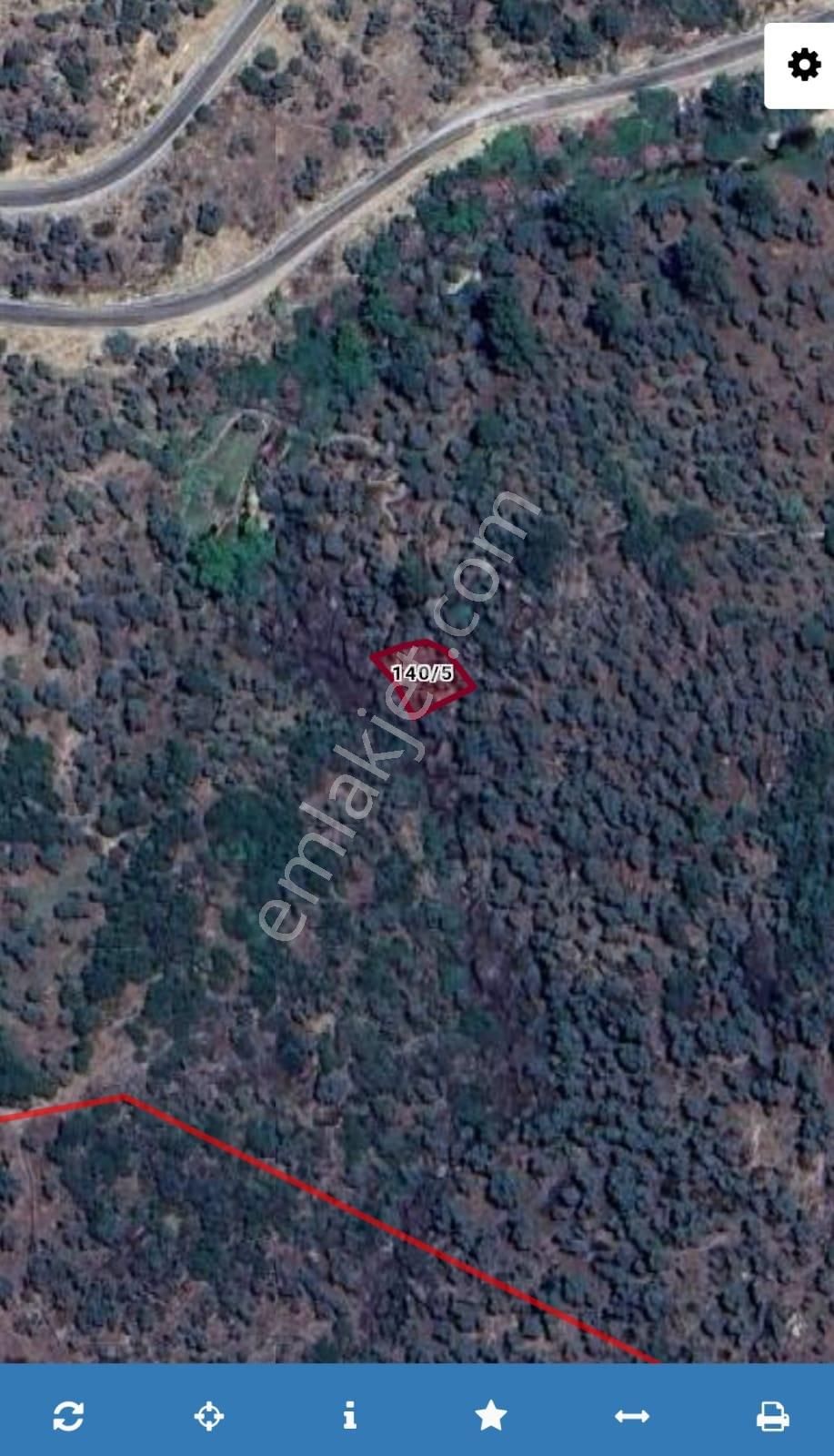 Aydın Karpuzlu Cumalar'da Satılık Zeytinlik