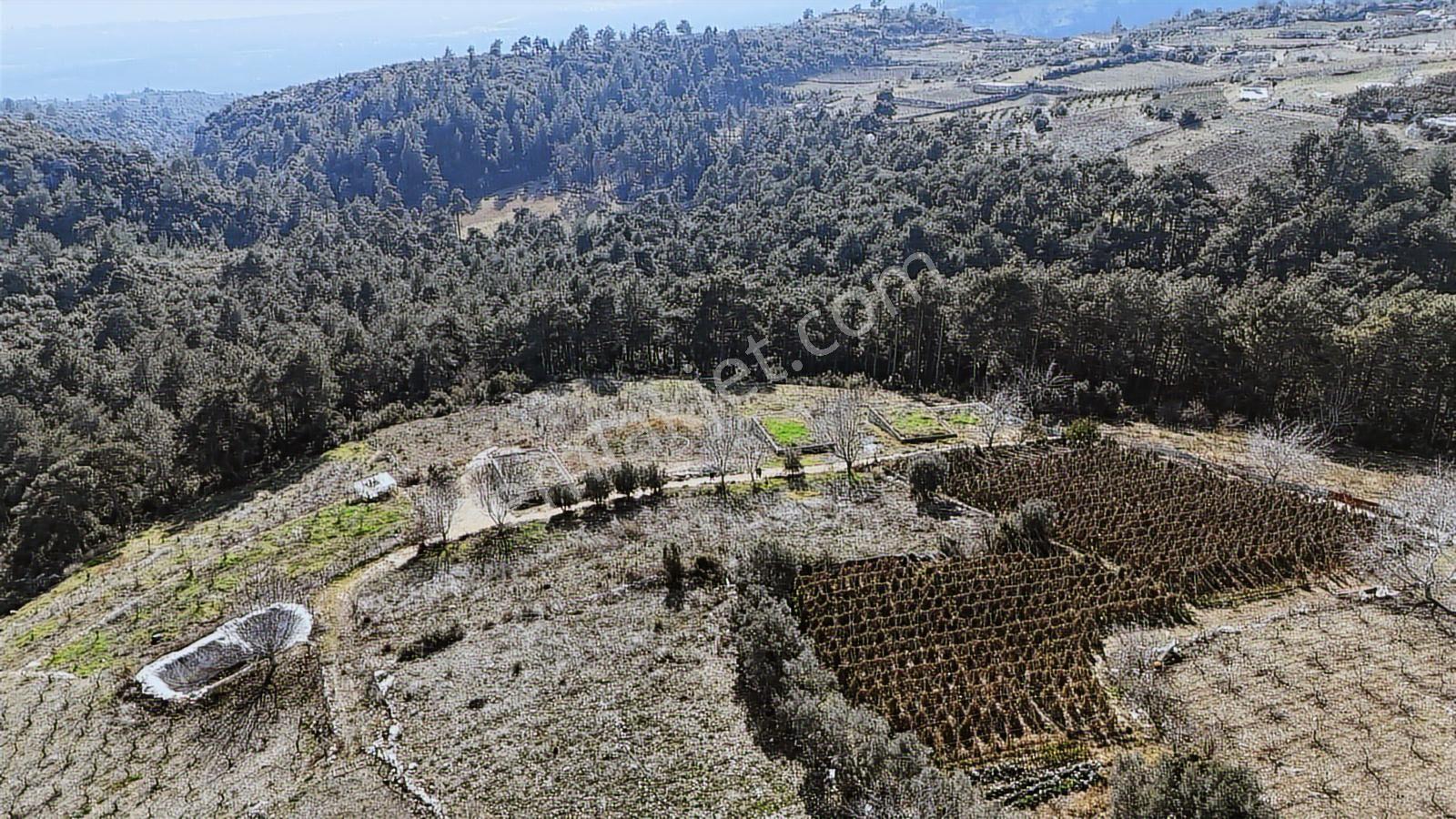 Erdemli Sıraç Deniz Manzaralı 650 M2 Villalık Arsa Önü Kapanmaz - Görsel 3