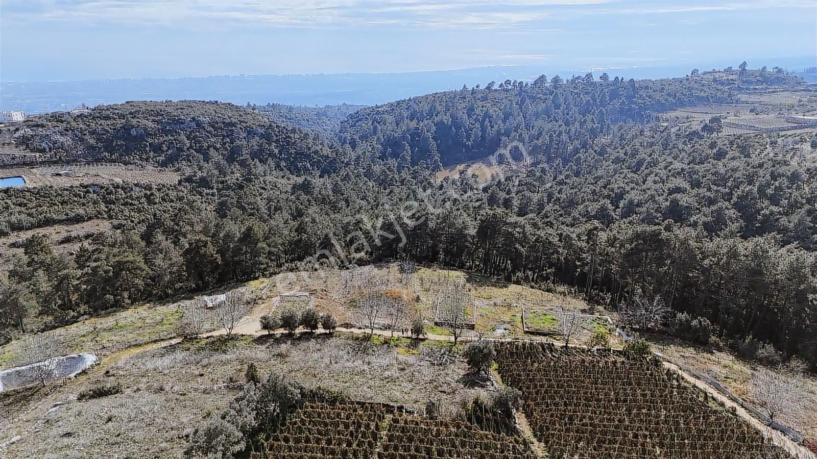 Erdemli Sıraç Deniz Manzaralı 650 M2 Villalık Arsa Önü Kapanmaz - Görsel 5