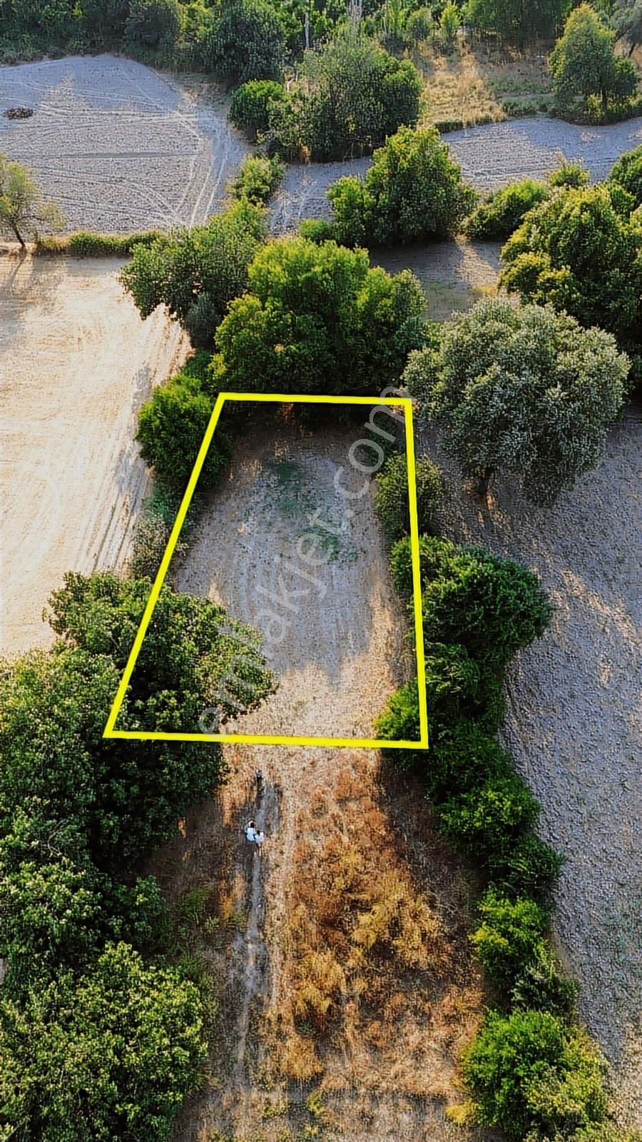 Muğla Ula'da Yatırımlık Fırsat Bağ Bahçesi