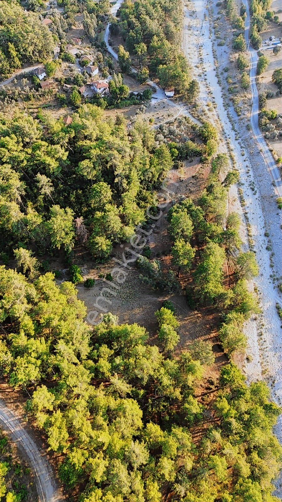 Muğla Ula Karabörtlen Mahallesi Satılık 7629m2 Tarla - Görsel 11