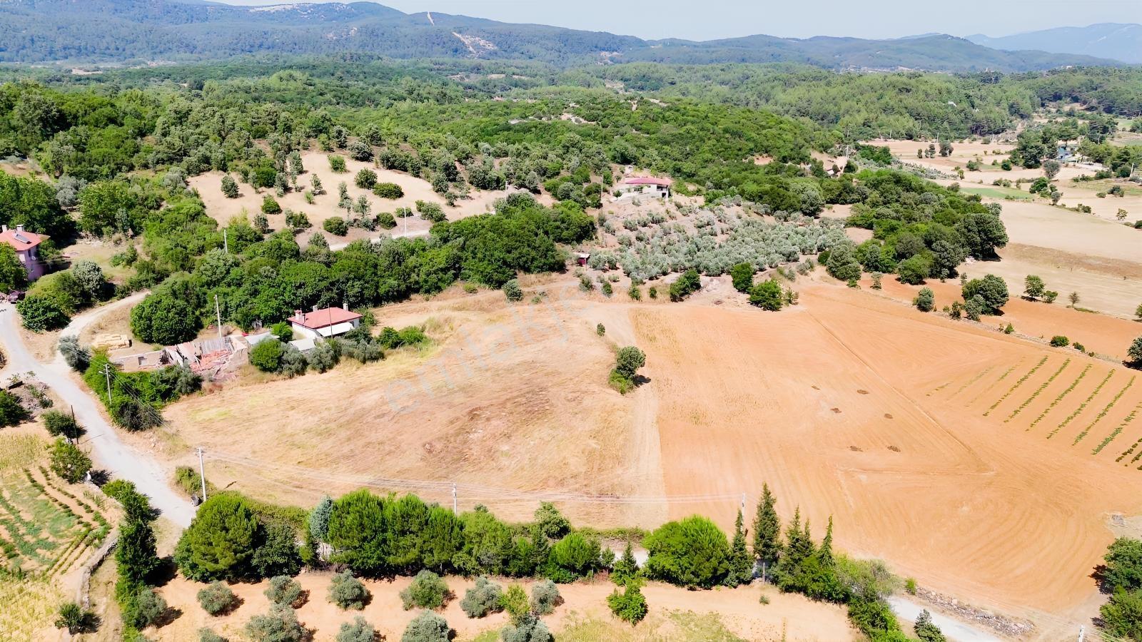 Muğla Ula Armutçuk'ta Satılık 2386 M² İmarlı Araziler - Görsel 11