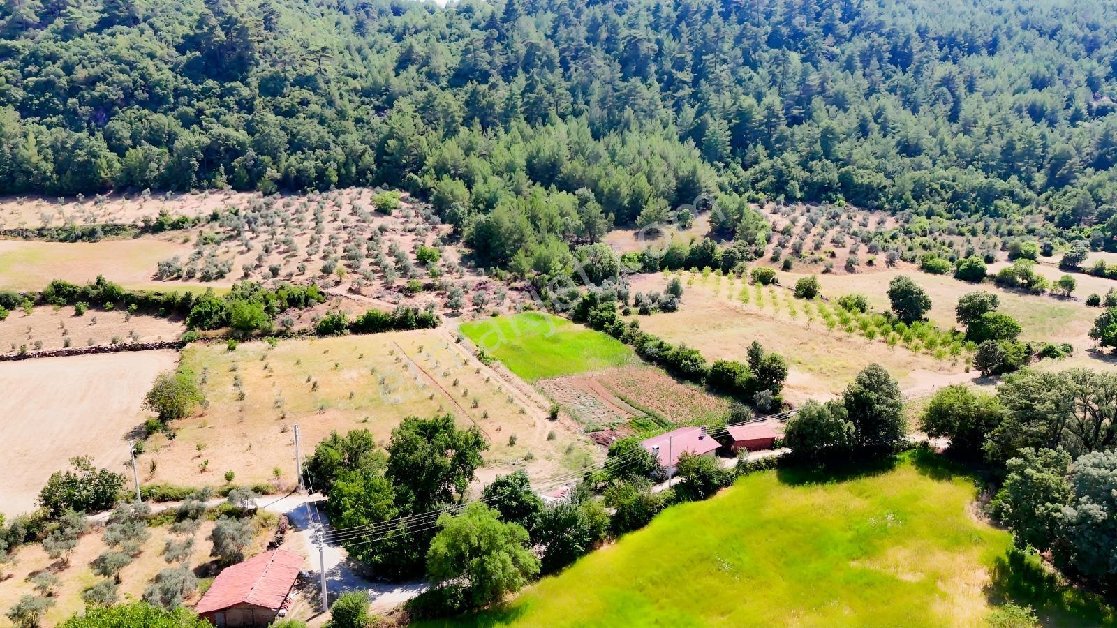 Muğla Ula Armutçuk'ta Satılık 2386 M² İmarlı Araziler - Görsel 6