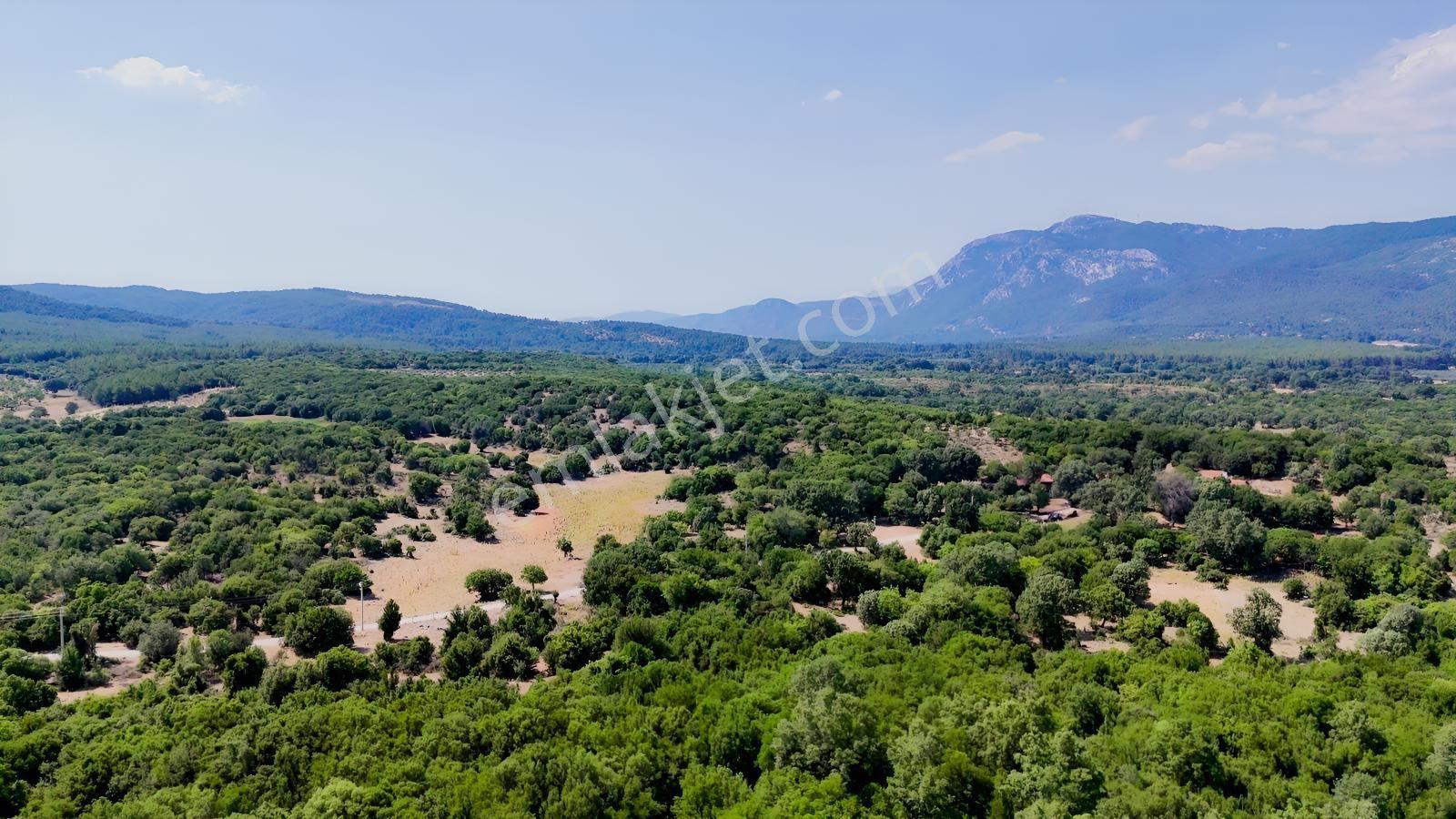 Muğla Ula Armutçuk'ta Satılık 2386 M² İmarlı Araziler - Görsel 9