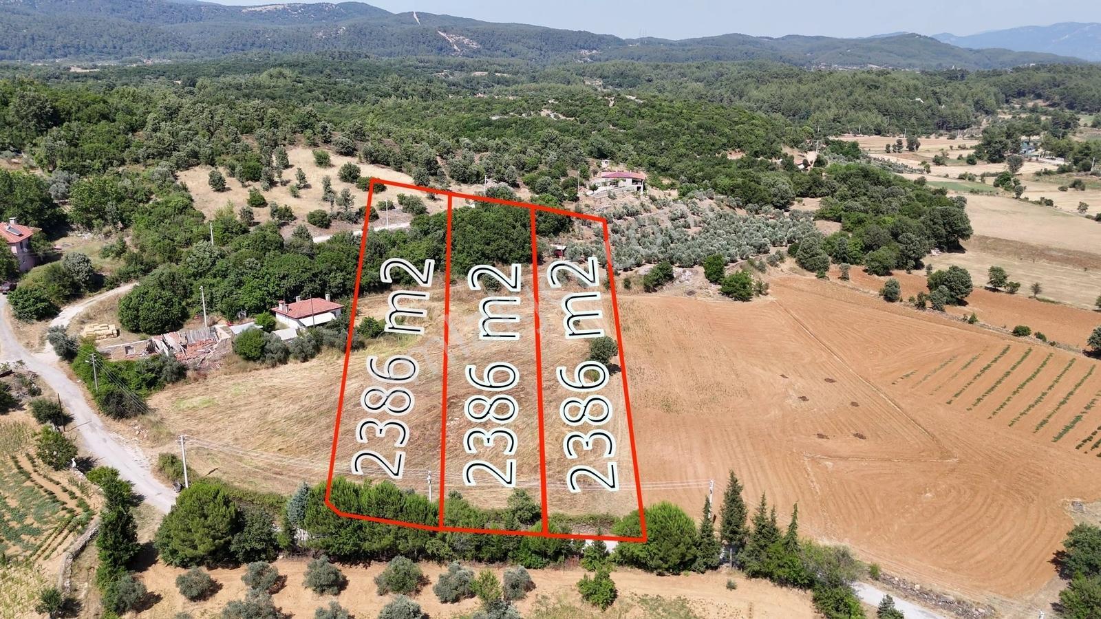 Muğla Ula Armutçuk'ta Satılık 2386 M² İmarlı Araziler
