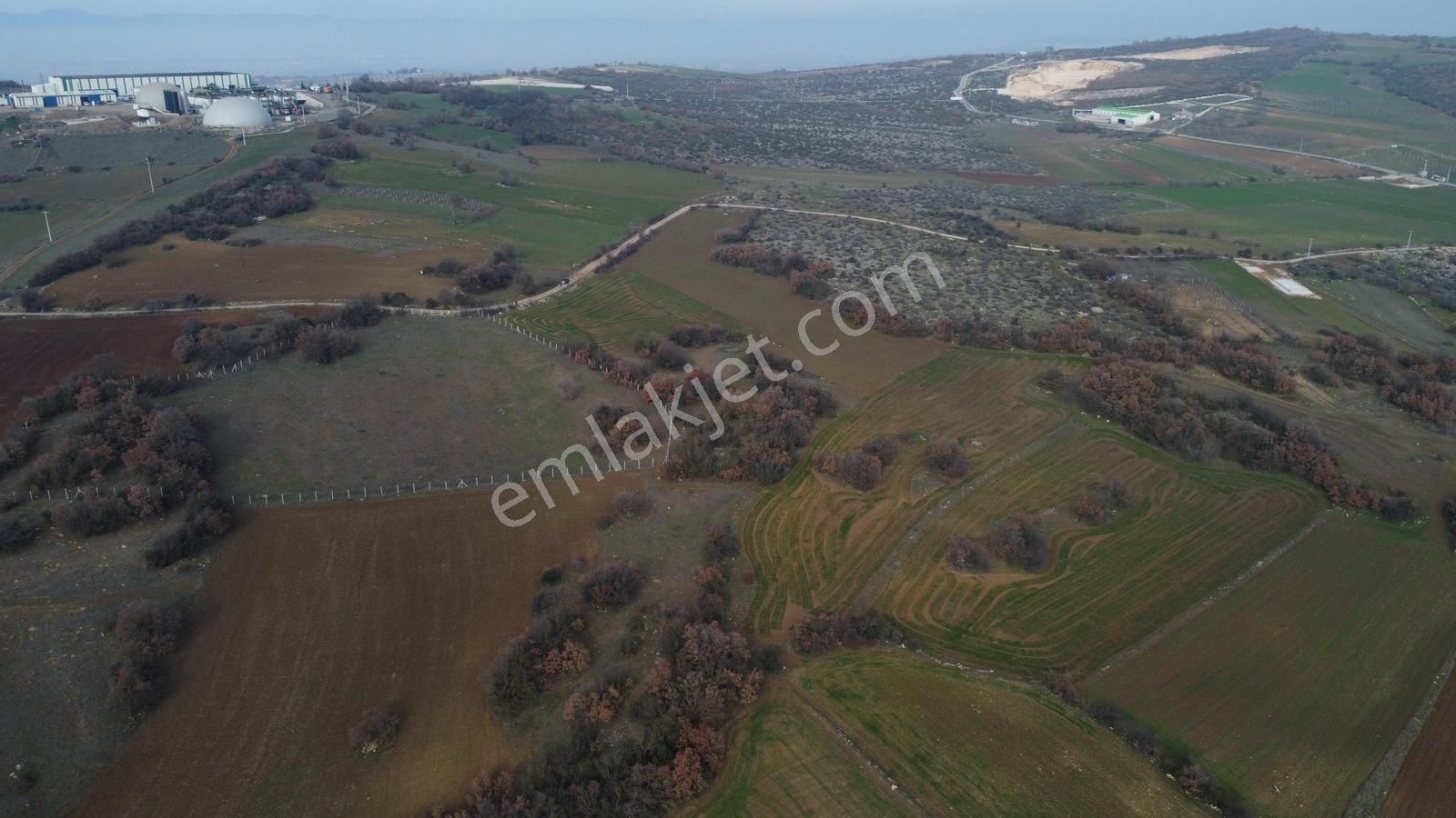 Ulucan'dan İnegöl Yeni Yörük'te Satılık Fırsat Tarla - Görsel 8