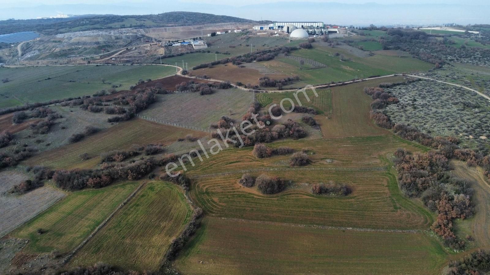 Ulucan'dan İnegöl Yeni Yörük'te Satılık Fırsat Tarla - Görsel 14