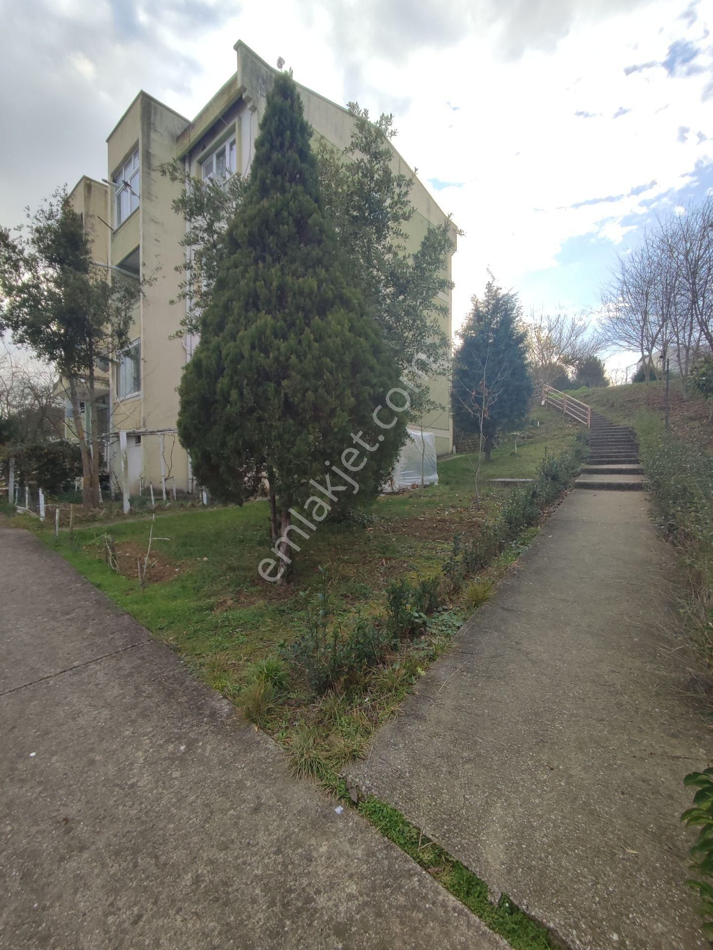 15 Temmuz Camili Mahallesi 1502 Ada İçerisinde Kiralık Daire - Görsel 6