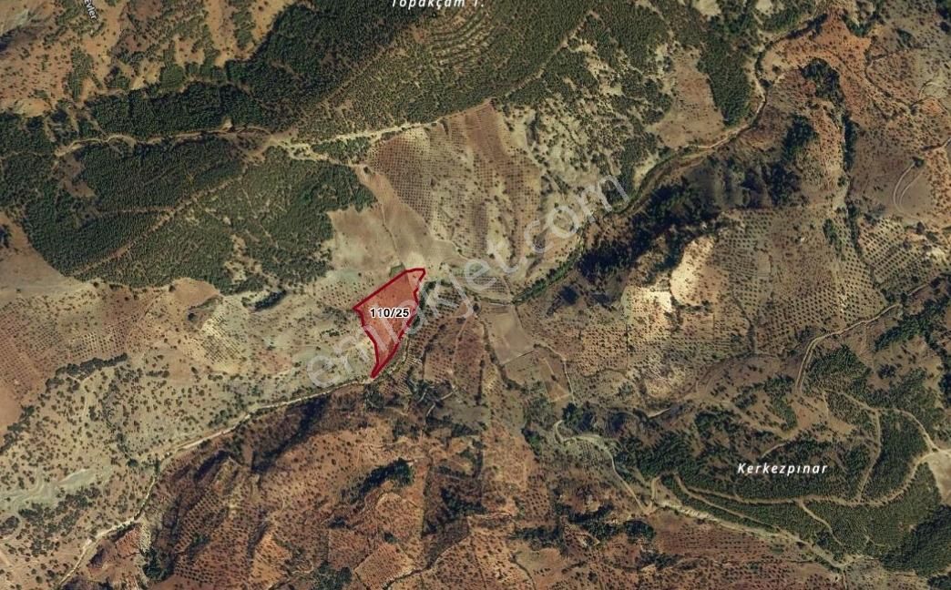 Z Group'dan Belen Köy'de Satılık Arazi -fırsat- - Görsel 2