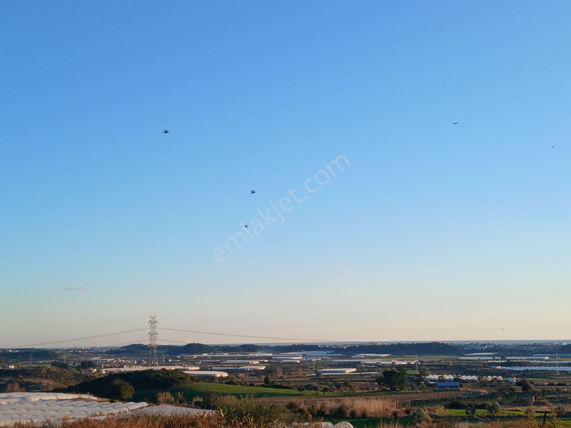 Manavgat/kalemlerde D400 E 7 Km Tektapu Uygun Tarla. - Görsel 4