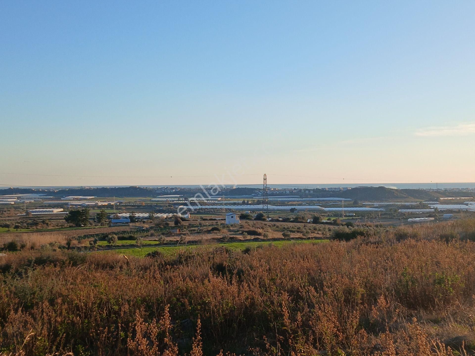 Manavgat/kalemlerde D400 E 7 Km Tektapu Uygun Tarla. - Görsel 10