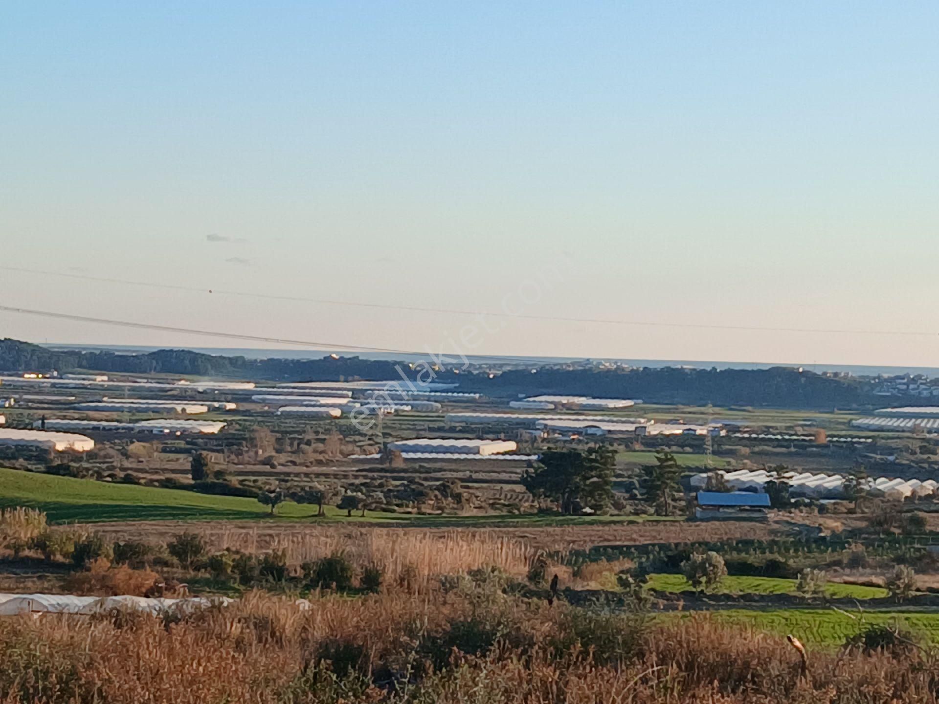 Manavgat/kalemlerde D400 E 7 Km Tektapu Uygun Tarla. - Görsel 7