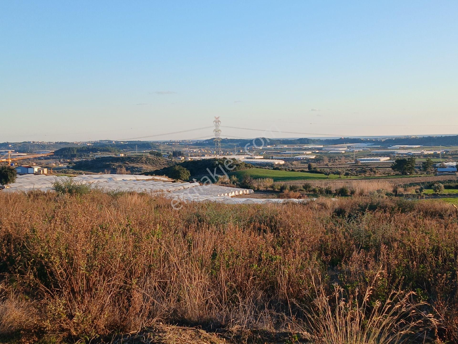 Manavgat/kalemlerde D400 E 7 Km Tektapu Uygun Tarla. - Görsel 9