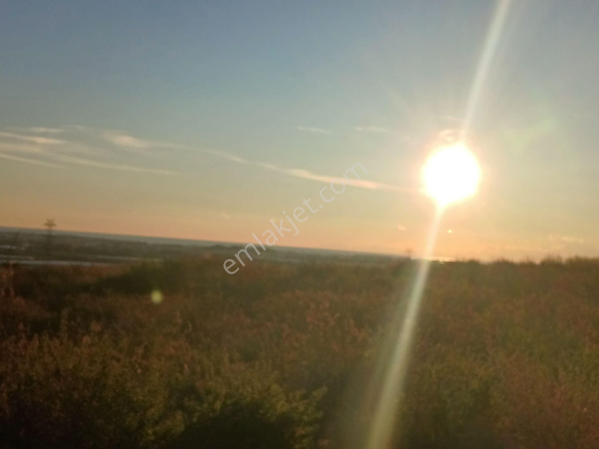 Manavgat/kalemlerde D400 E 7 Km Tektapu Uygun Tarla.