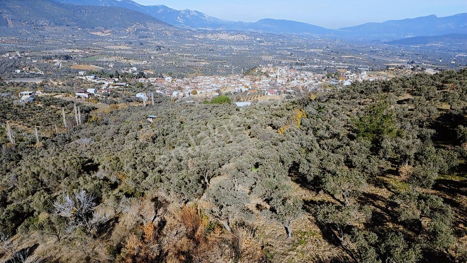 Lenora Gayrimenkül'den Çakırbeyli Mah. Tek Tapu Satılık Tarla