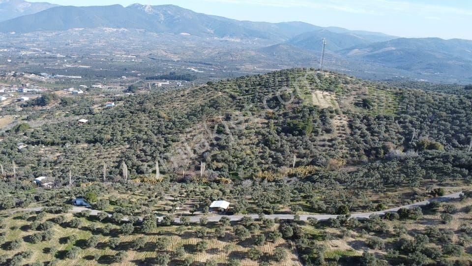 Lenora Gayrimenkül'den Çakırbeyli Mah. Tek Tapu Satılık Tarla - Görsel 3