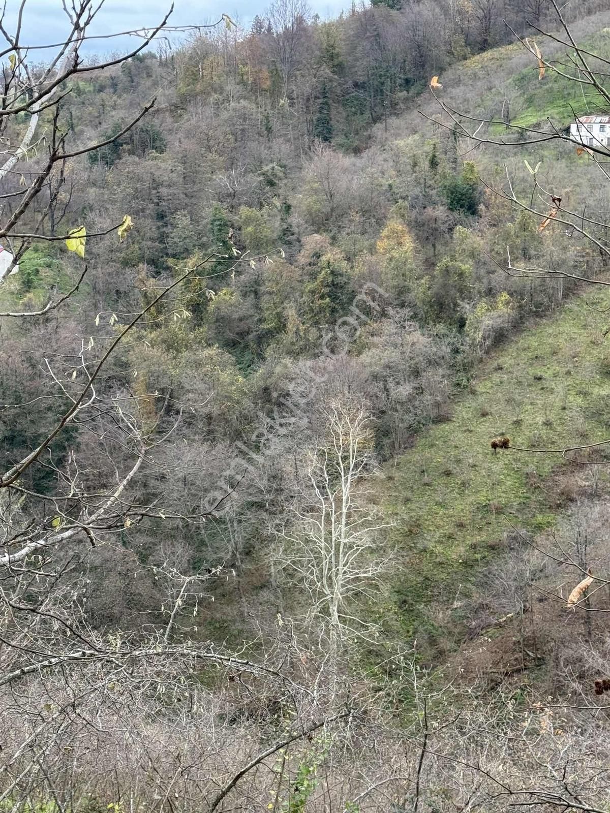 Özgür Emlaktan Beşıkdağ Mahallesinde Fırsat Arazi - Görsel 18
